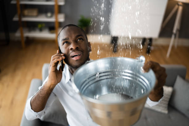 Best Mold removal after water damage  in Highland, UT