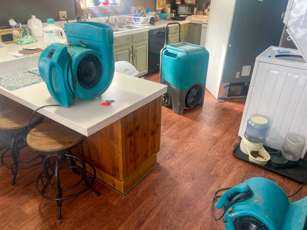 Best Carpet water damage restoration  in Highland, UT