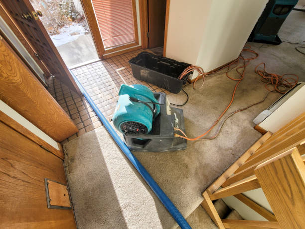Best Professional water damage repair  in Highland, UT