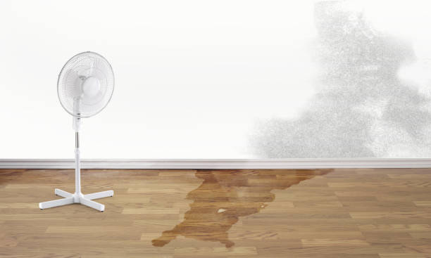  Highland, UT Water damage restoration Pros
