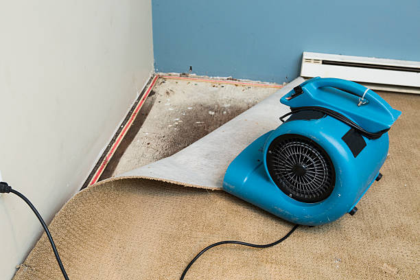 Best Basement water damage restoration  in Highland, UT